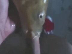 Amateur animal xxx