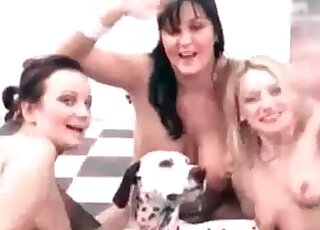 Three naked bitches are about to start making out with a dog