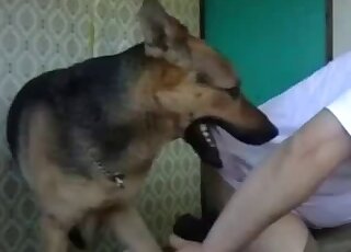 Dominant dude enjoys flip flopping action with his big-dicked dog