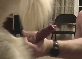 الرجل ذو المؤخرة المتناسقة سوف يمارس الجنس مع كلب على أربع أيضًا