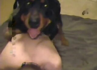 Aging zoophile dude lets out a loud moan while fucking black dog