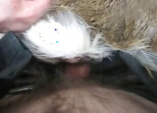 Guy's veiny penis is being inserted from behind into that tight hole