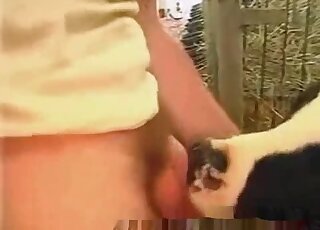 رجل ذو شعر كثيف يسمح لهذه البقرة المثيرة بإدخال قضيبه في حلقها هنا