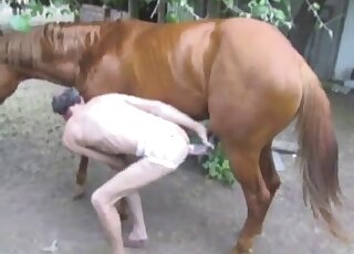 Awesome outdoor fuck movie with a pasty zoophile and a brown horse