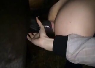 Firm-assed zoophile can fit the entirety of this huge horse cock