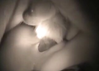 فيلم إباحي ساخن مع جماع عن قرب مع امرأة مهووسة بالحيوانات الأليفة