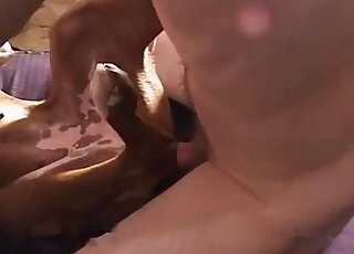 حيوان بني يمارس الجنس بشغف مع رجل شهواني للغاية