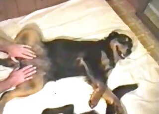 Brown animal gets to enjoy oral before this dude fucks it deeply