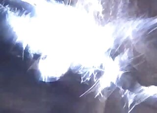 Horse's huge cock and juicy balls are spotlighted in a close-up video