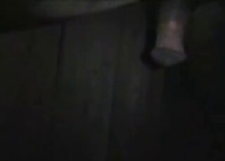 حيوان شهواني يتجول في الليل بحثًا عن قضيب حصان ضخم