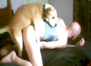 Bald-headed crossdresser enjoying deep doggystyle fucking on a bed