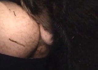 Hairy booty zoophile in ripped pants fucks a hung horse in the dark
