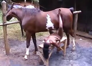 Ponytailed Latina with brown skin is ready to blow a brown horse