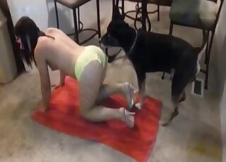Mesh stockings babe gets fucked by a dog on the floor with watchers