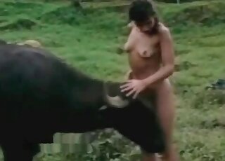 Horny zoophile whore lets buffalo lick her wet pussy hole