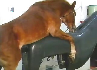 فحل بني يريد إفراغ كراته في مقطع فيديو إباحي تعليمي