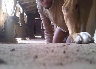 Guy with a hidden camera gets extremely sloppy with a dog's cock