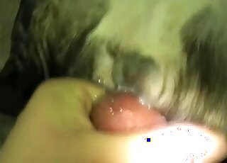 Guy blows a load all over this animal's pussy after hard fucking