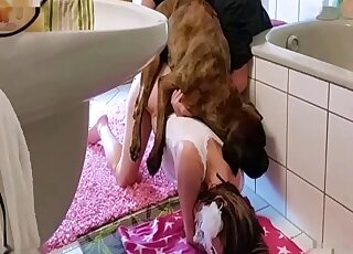 Tattooed amateur girl bends over for bathroom sex with Boxer dog