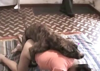 يحب الكلب راندي لعق وضرب عشيقته السمراء