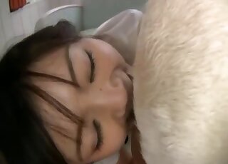 Fully-erect dog cock gets blowjob from Asian oral expert