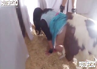 Pussy creampie and anal shafting for a mature chick from a thick pig