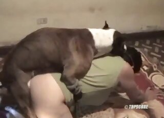 Masked mature harlot gets sexually dominated by horny pet dog