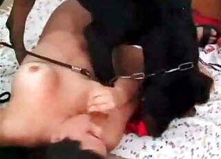 Black dog is about to start pussy-fucking zoo porn session