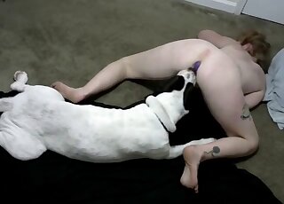 Amateur babe is in a trance while getting cunny licked by doggy