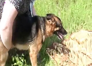 فتاة هاوية تريد ممارسة ألعاب الجنس في حديقة الحيوانات في الهواء الطلق مع الراعي الألماني