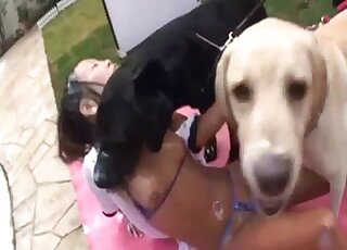 Latin babe is going to get her body licked all over by kinky dogs here