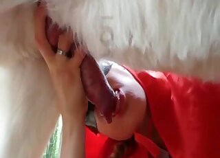 Attractive Red Riding Hood cosplayer fucking a sexy dog while outdoors