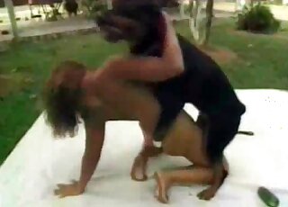Aroused dog is about to start fucking that slender zoophile bitch