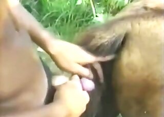 Latino amateur fucks horse in the pussy and  ass while on cam