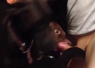 رجل شهواني يمارس الجنس مع كلبه في مؤخرته ويسجل المحنة بأكملها