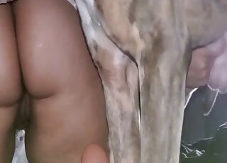 فتاة ذات مؤخرة كبيرة تريد قضيب الكلب اللذيذ في مهبلها اللذيذ