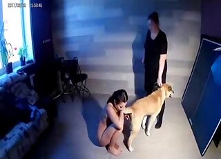 Hot dog porn on cam shows naked amateur trying new perversions