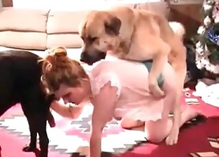 Filthy MILF is busy pleasuring a black dog while getting fucked by another one