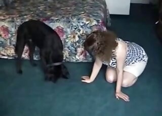 Curvy amateur female loves the idea of fucking with the dog on cam