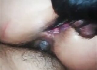 Close scenes when a wife tries anal with the dog
