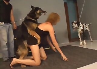 امرأة ناضجة تستمني قبل أن تحاول إدخال قضيب كلب حقيقي في ثقوبها اللذيذة