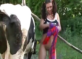 Succulent treat for a hot Latina in genuine cam zoophila