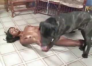 Ebony slut is ready for some heavy dog porn on cam