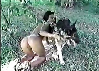 Shepherd dog start outdoors fuckign session with a horny brunette