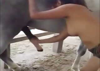 Huge animal cock getting jerked by a brunette that needs orgasms