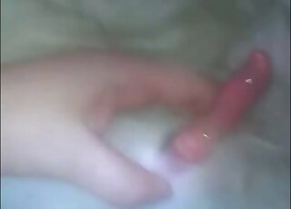 Hot chick playing around with this dog's dick in a hot porn movie