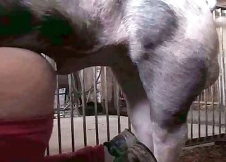 Big pig stuffs its pecker inside nasty dude's ass during wild zoo porn