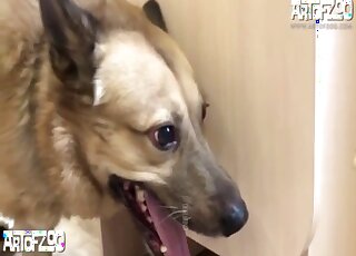 Stacked babe in a black mask fucking her animal on all fours here