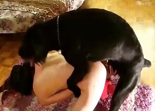 Mulher atraente transa com um animal negro enquanto se prepara para orgasmos reais