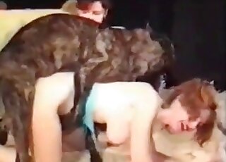 Naughty chick organizes hot zoo porn session with her doggie